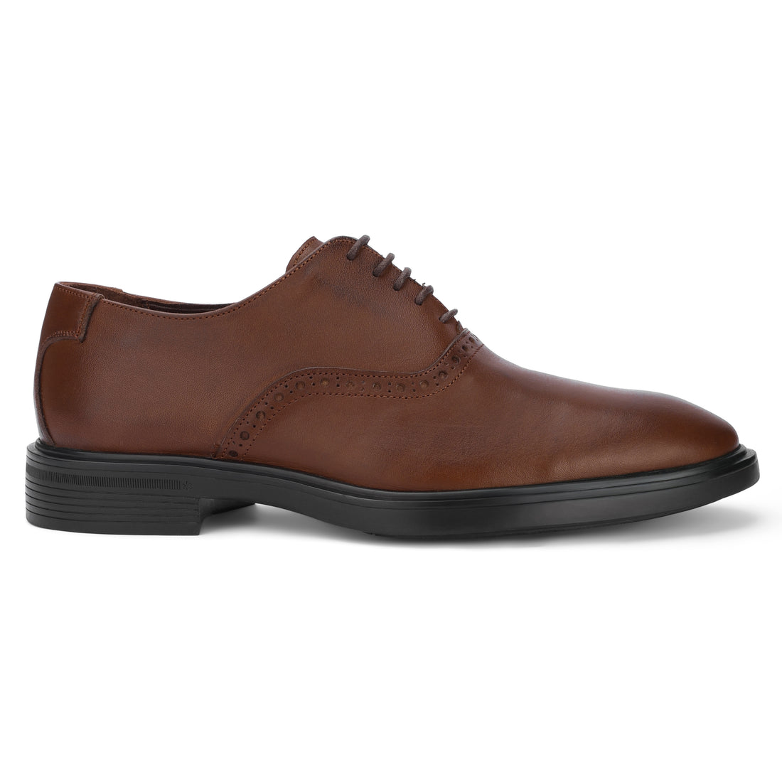 Lusso Oxford with Brogue Brown 304