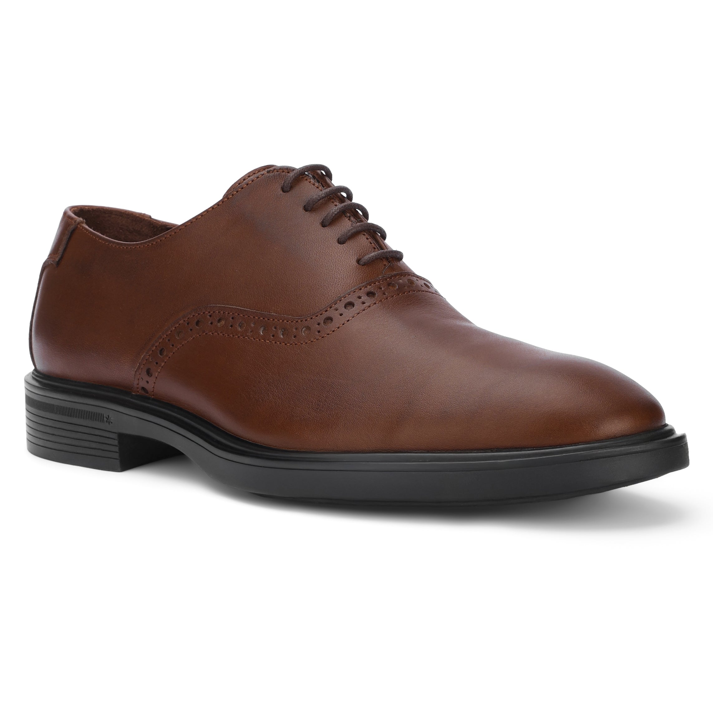 Lusso Oxford with Brogue Brown 304